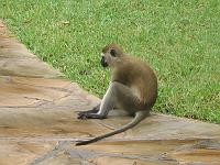 Kenya 114